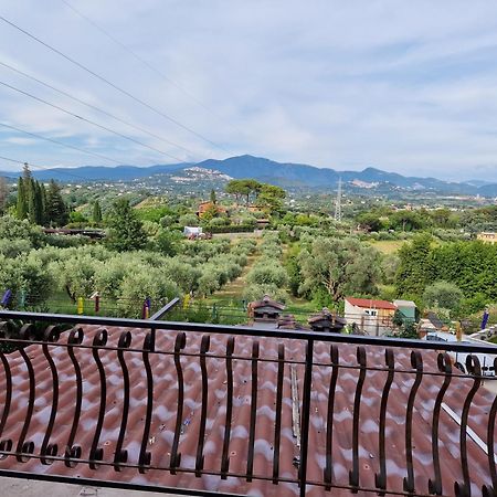 La Casa Tra Gli Ulivi Di Fonte Nuova 2 Villa Mentana Ngoại thất bức ảnh