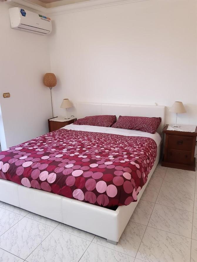 La Casa Tra Gli Ulivi Di Fonte Nuova 2 Villa Mentana Ngoại thất bức ảnh