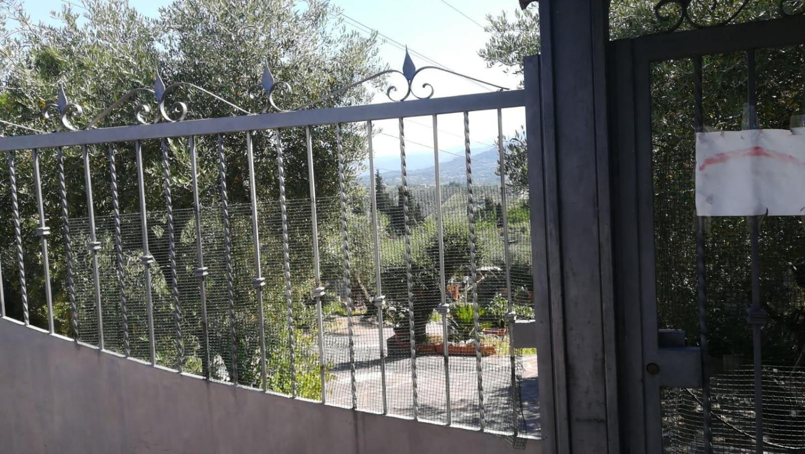 La Casa Tra Gli Ulivi Di Fonte Nuova 2 Villa Mentana Ngoại thất bức ảnh
