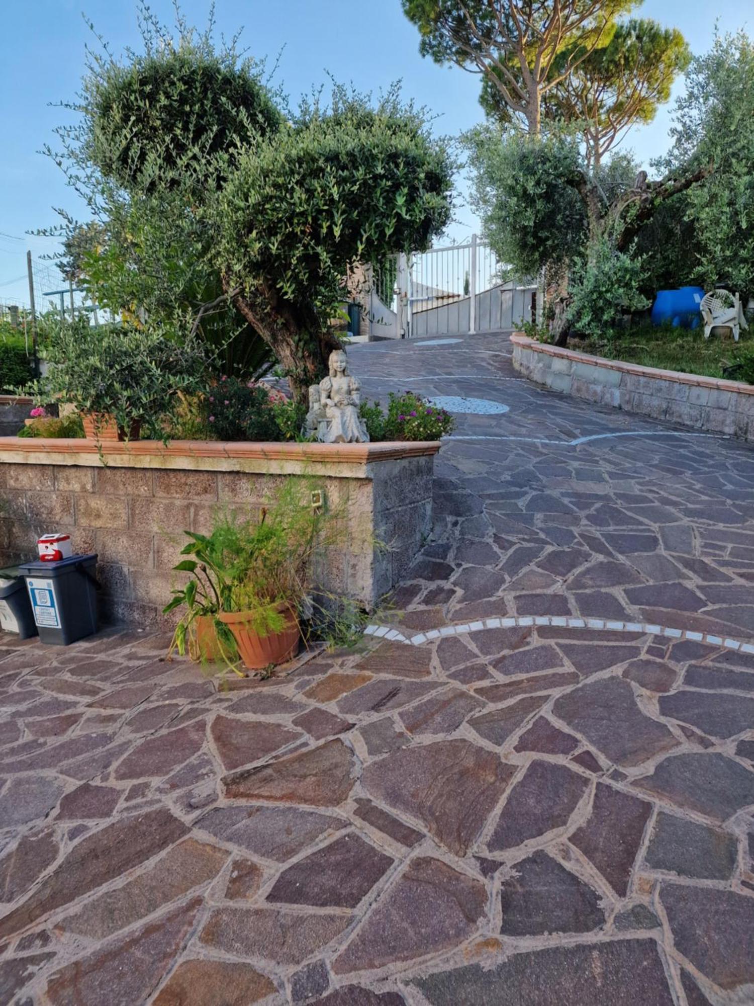 La Casa Tra Gli Ulivi Di Fonte Nuova 2 Villa Mentana Ngoại thất bức ảnh